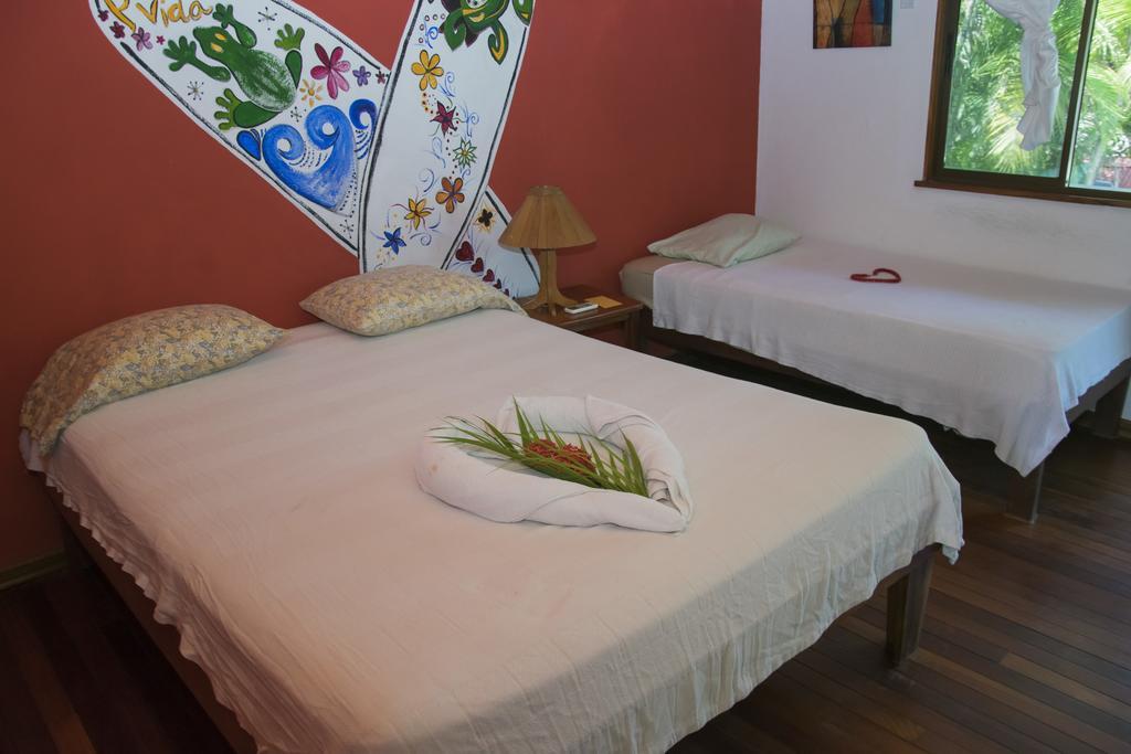 Pelican Beachfront Hotel إستريلوس إيسته المظهر الخارجي الصورة